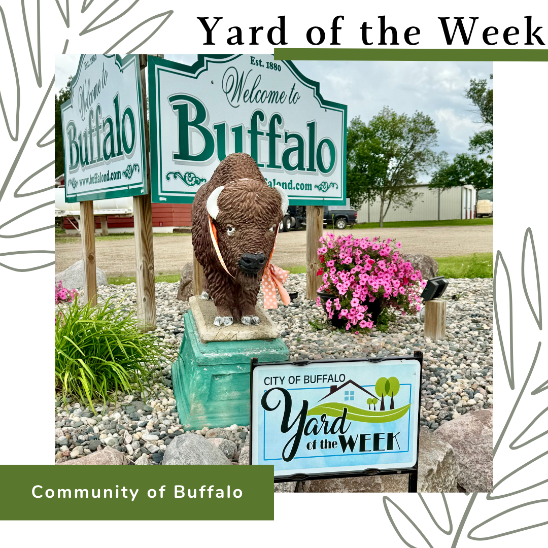 Yard of the Week #4