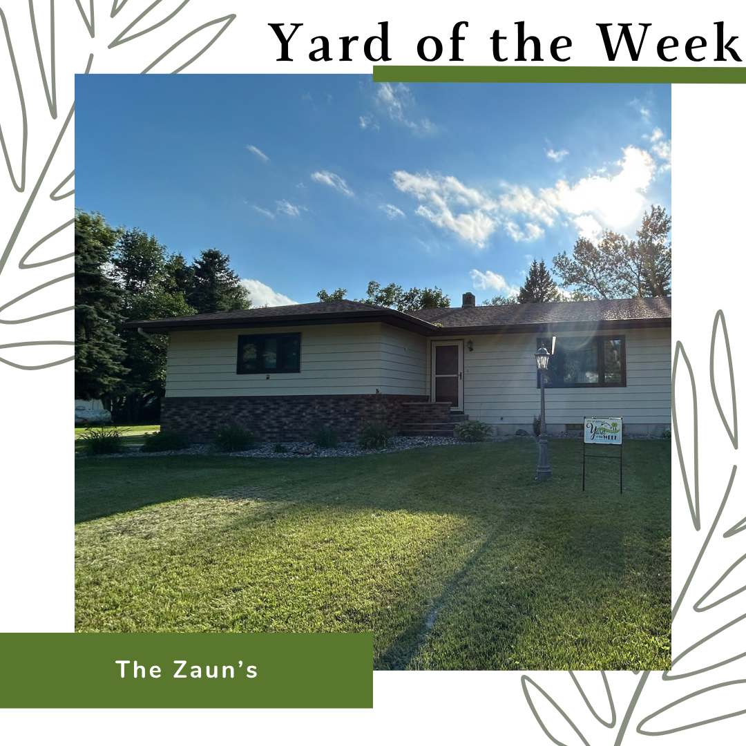 Yard of the Week #8