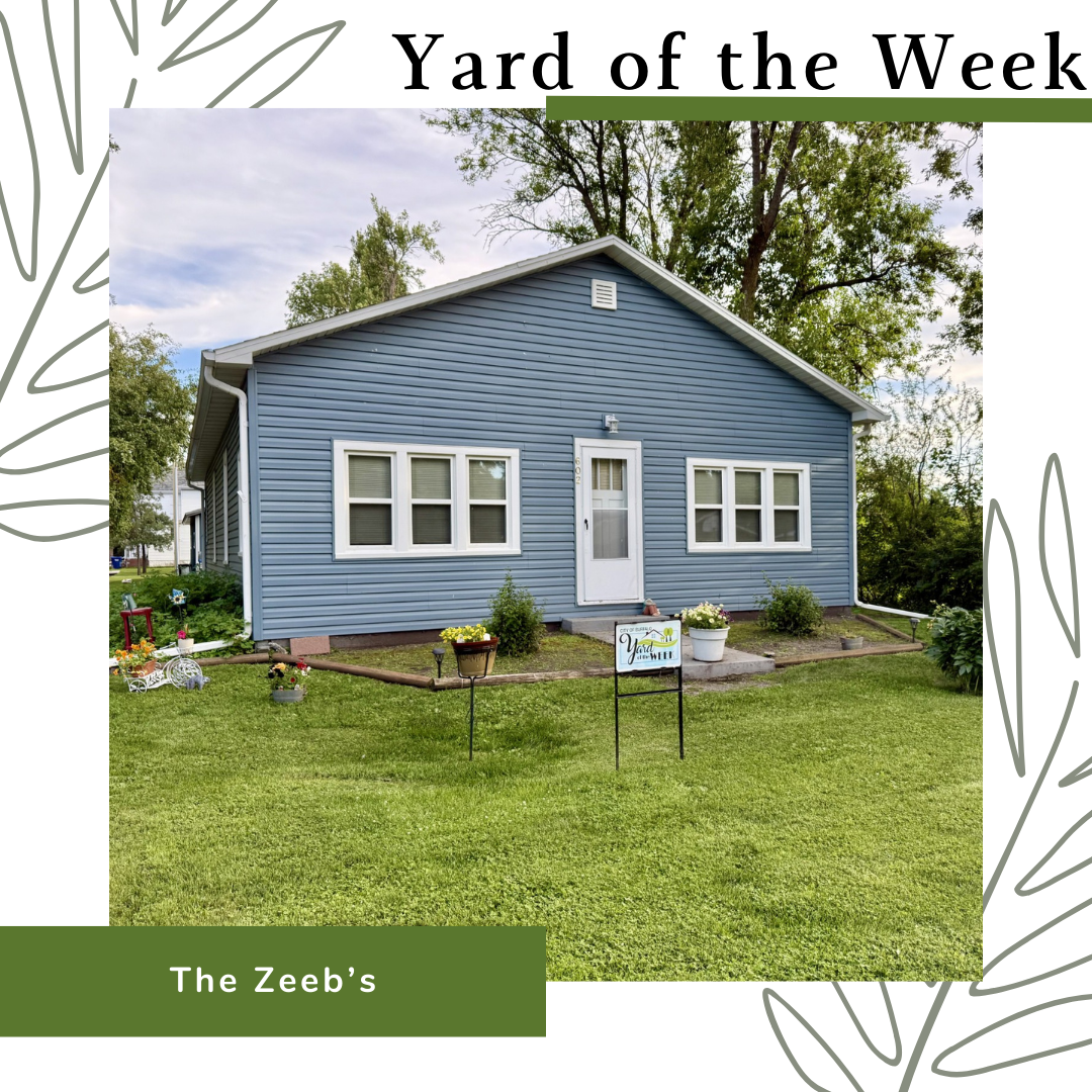 Yard of the Week #7