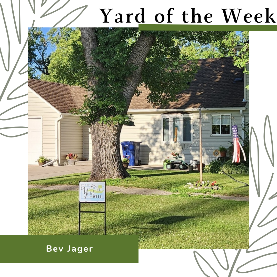 Yard of the Week #5