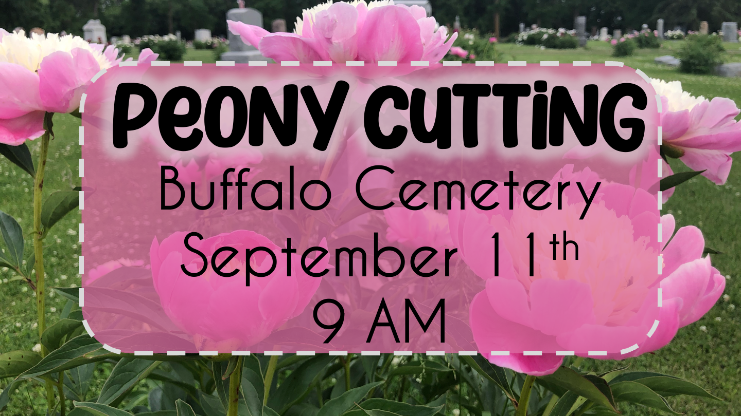 Peony Cutting @ Buffalo Cemetery